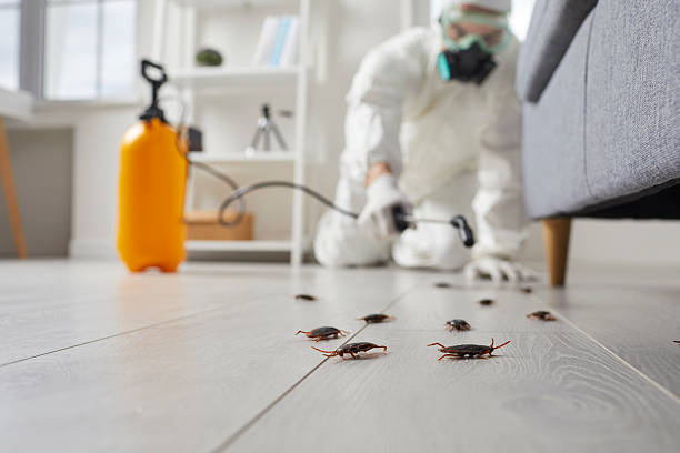 Commercial Kitchen Cockroach Control in Harvest